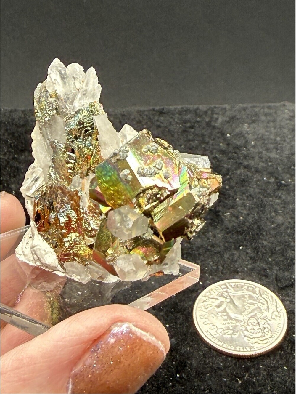 Naturally Iridescent Pyrite on Quartz Crystal Specimen Indonesia